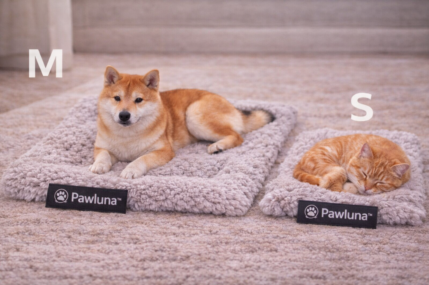 Tapis Auto-Chauffant Cocoon – Confort & Bien-être pour Chiens et Chats